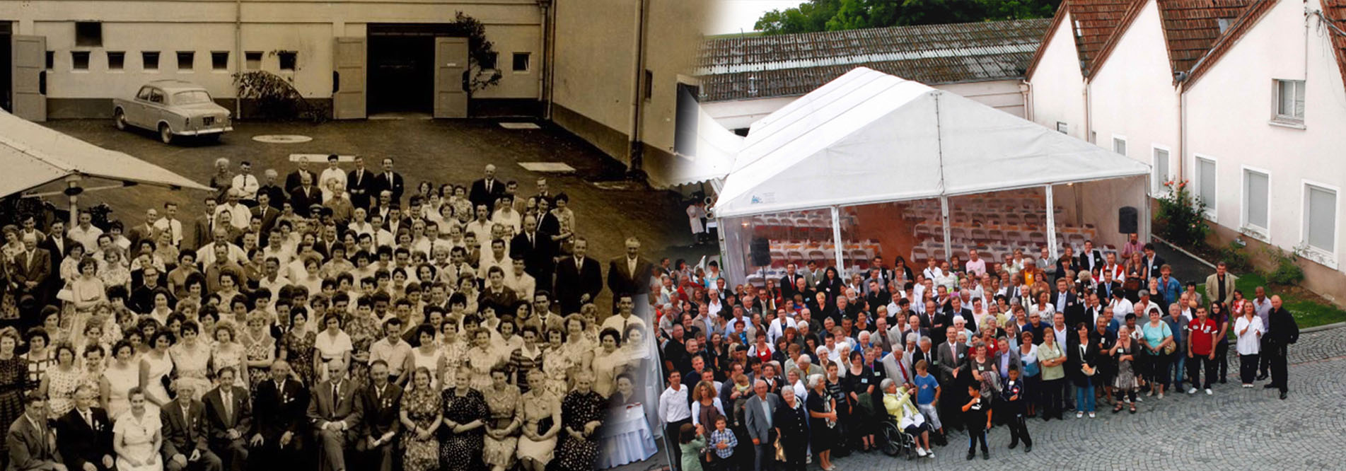 bannière société Dollfus & Muller